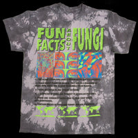 FUN FACTS ABOUT FUNGI COLORWAY 2