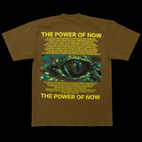 POWER OF NOW (ECKHART TOLLE)